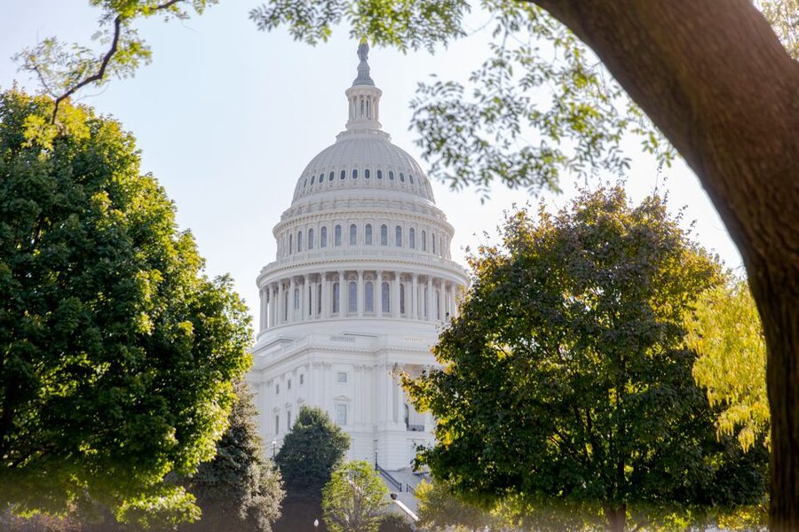 Washington DC: Bus Tour to the Highlights of the Capital - Guides, drivers, and the quality of the commentary