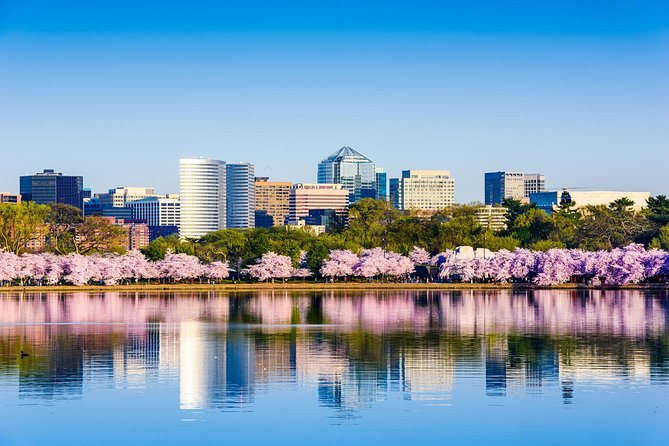 Washington DC & Philadelphia 1-Day Guided Tour from NYC - The White House, Washington Monument, and Capitol Building