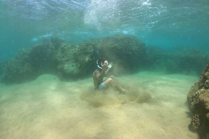Water Bike Tour in South Maui - Key points before you book