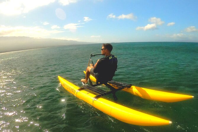 Water Bike Tour in South Maui - Turtles, whales, dolphins, and the limits of wildlife watching