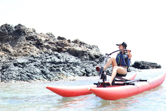 Water Bike Tour in South Maui - Is $124 a fair price?