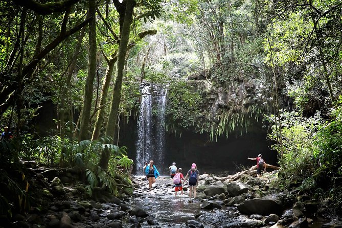 Waterfall & Rainforest Hiking Adventure with Hotel Pickup - Waterfalls, pools, and the optional rock jump