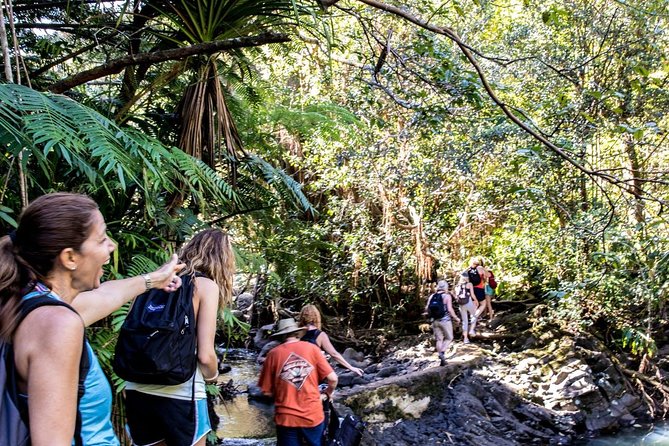 Waterfall & Rainforest Hiking Adventure with Hotel Pickup - Lunch beside the tropical pool