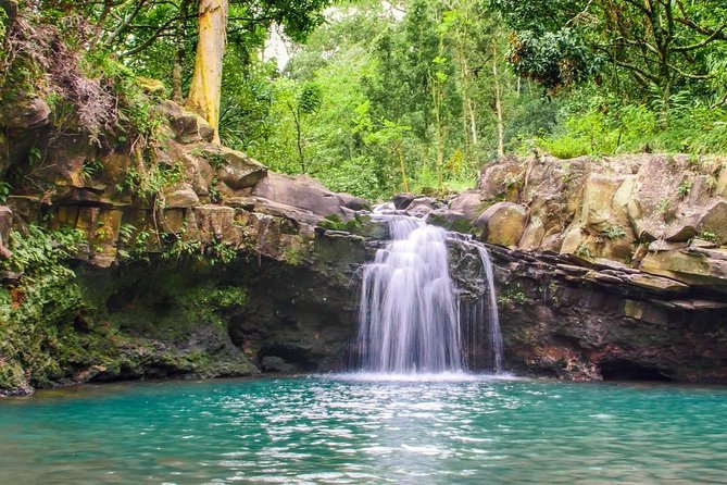 Waterfall & Rainforest Hiking Adventure with Hotel Pickup - Guides make the difference