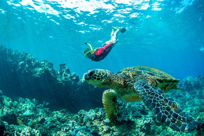 West Maui Afternoon Snorkel from Ka’anapali Beach - A crew that keeps the mood easy