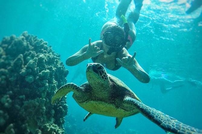 West Maui Half Day Snorkel from Ka’anapali Beach - Honolua Bay and the changing snorkeling route