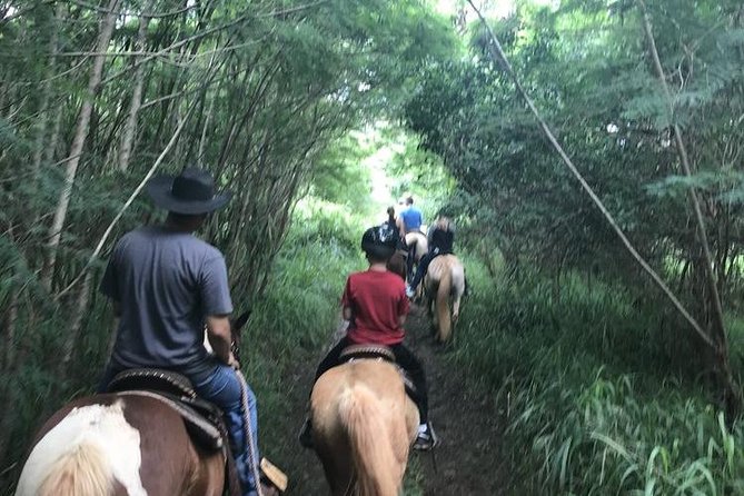 West Maui Mountain Waterfall and Ocean Tour via Horseback - Ocean views without a beach ride