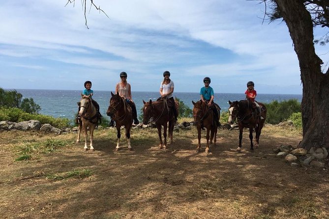 West Maui Mountain Waterfall and Ocean Tour via Horseback - Dust, mud, sun, and saddle comfort