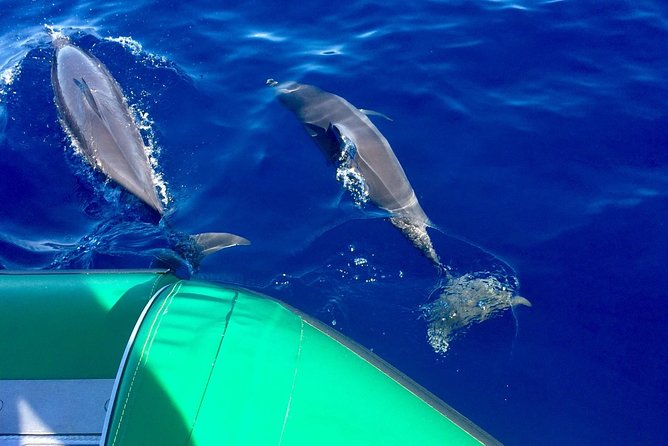 West Maui Snorkeling Experience by Boat from Ka'anapali - Key points at a glance