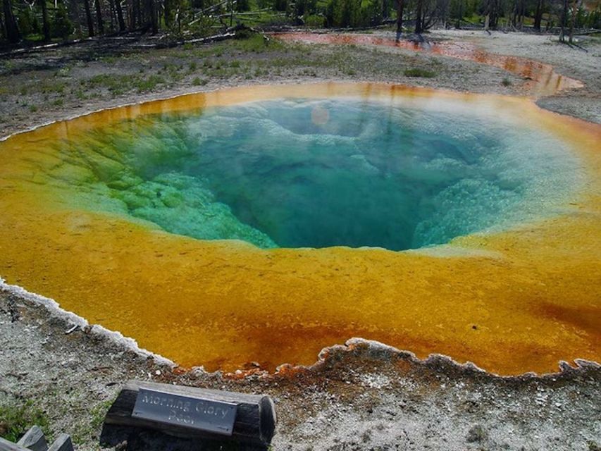 West Yellowstone: Yellowstone Day Tour Including Entry Fee - Key points to know before booking