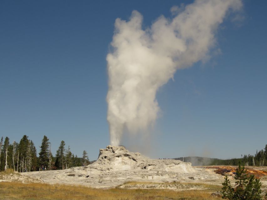 West Yellowstone: Yellowstone Day Tour Including Entry Fee - Hayden Valley and the search for wild animals