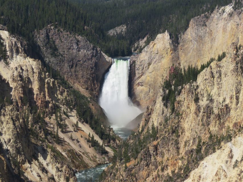 West Yellowstone: Yellowstone Day Tour Including Entry Fee - The food, comfort, and value of a $375 tour