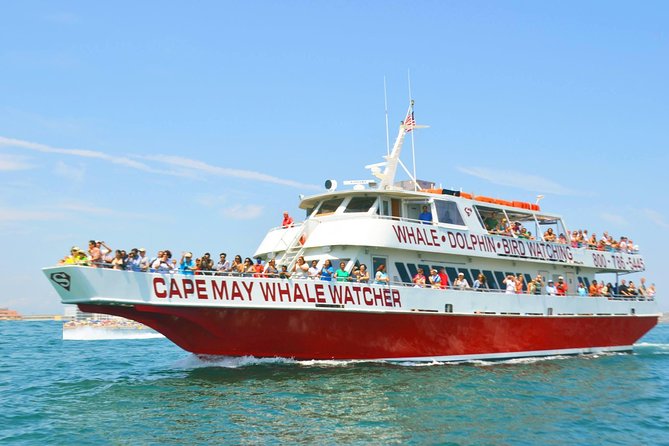 Whale and Dolphin Watching Cruise from Cape May - Three Hours Along the Cape May Coast