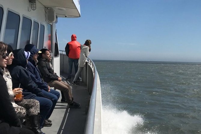 Whale and Dolphin Watching Cruise from Cape May - Is $45 a Fair Price?