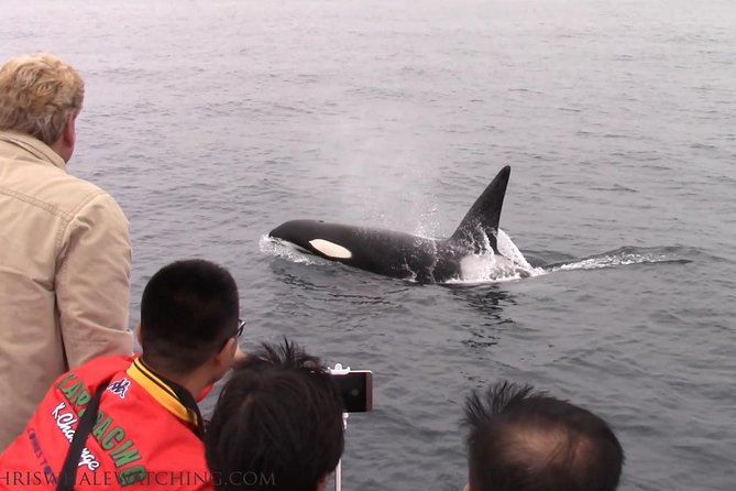 Whale Watching Tour - Handling seasickness on a Monterey departure
