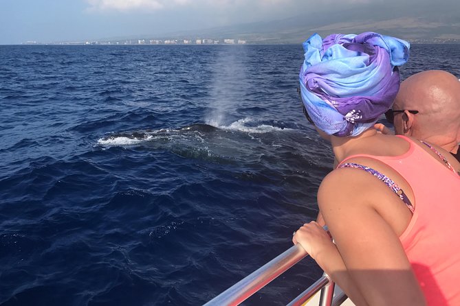 WHALES GUARANTEED Maui Whale Watching Makai Adventures - Key Details Before You Book