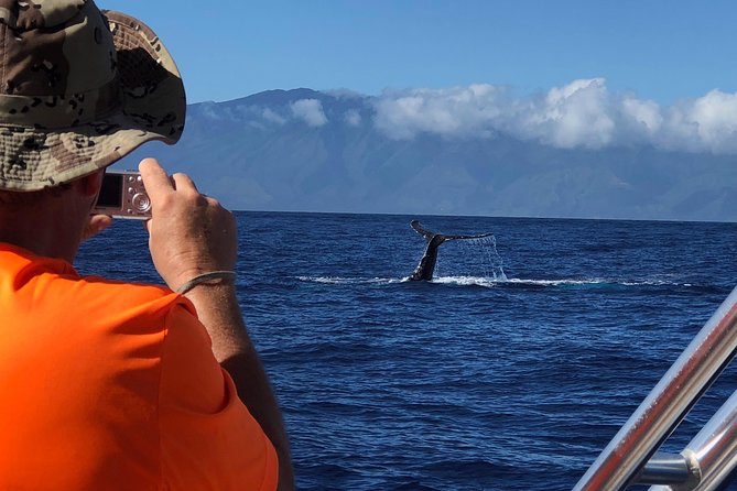 WHALES GUARANTEED Maui Whale Watching Makai Adventures - Comfort, Motion, Shade, and Weather