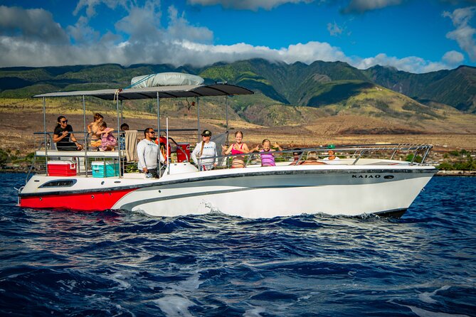 WHALES GUARANTEED Maui Whale Watching Makai Adventures - Who Will Get the Most From This Tour?