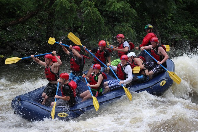White Water Rafting Experience on the Upper Pigeon River - The essential facts before you book