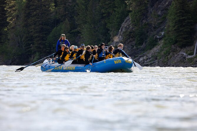 Whitewater Rafting in Jackson Hole : Family Standard Raft - The standard raft and its paddle positions