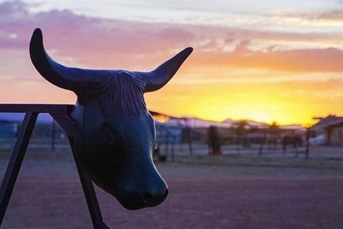 Wild West Sunset Horseback Ride with Dinner from Las Vegas - What the $159.99 price really covers