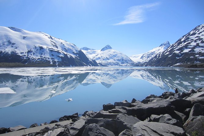 Wildlife and Glaciers with a walk in the Rainforest - Transportation, group size, and physical demands