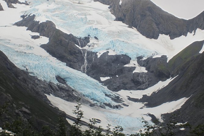 Wildlife and Glaciers with a walk in the Rainforest - Is $149 a fair price?