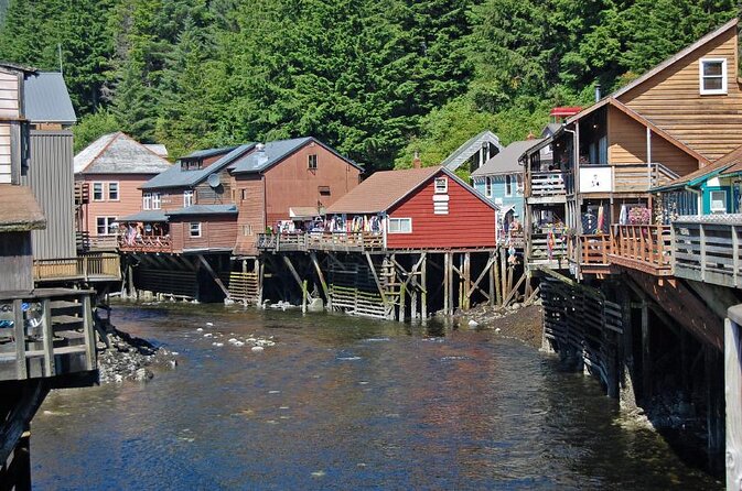 Wildlife Viewing, Sightseeing and Whale Watching Quest - Key points before you book