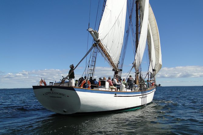 Windjammer Classic Day Sail from Camden, Maine - Why the Appledore II makes a good Camden outing