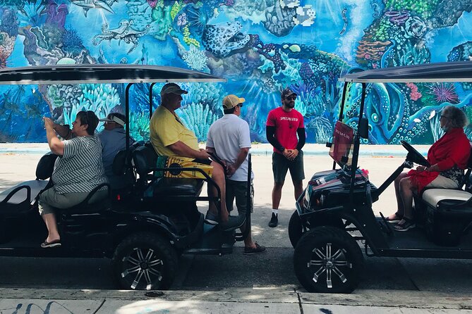 Wynwood Graffiti Golf Cart Small-Group Tour - Wynwood Walls, the district’s best-known stop