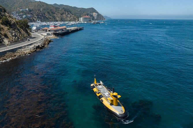 Yellow Semi-Submarine Tour of Catalina Island From Avalon - What makes this Avalon boat ride worth your time