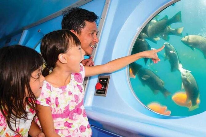 Yellow Semi-Submarine Tour of Catalina Island From Avalon - Starting at the Green Pleasure Pier
