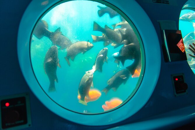 Yellow Semi-Submarine Tour of Catalina Island From Avalon - Lovers’ Cove and the underwater gardens