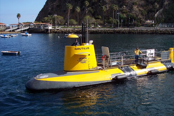 Yellow Semi-Submarine Tour of Catalina Island From Avalon - The fish-feeding torpedo button