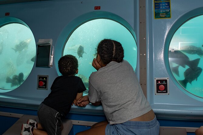 Yellow Semi-Submarine Tour of Catalina Island From Avalon - Returning above the water