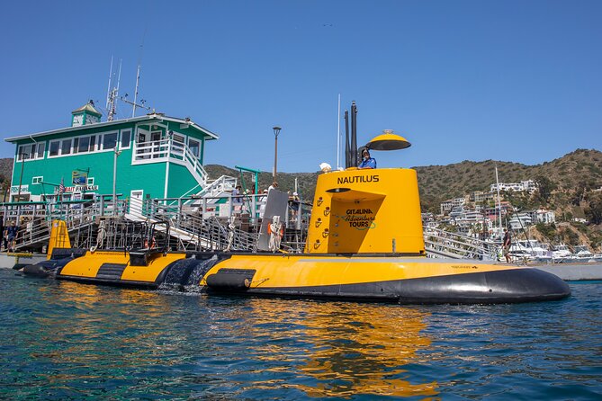 Yellow Semi-Submarine Tour of Catalina Island From Avalon - Is $53 a fair price?