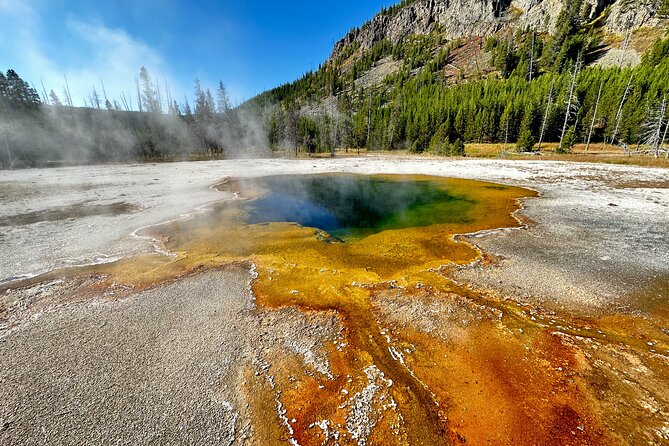 Yellowstone Lower Loop Full-Day Tour - Old Faithful and the Upper Geyser Basin