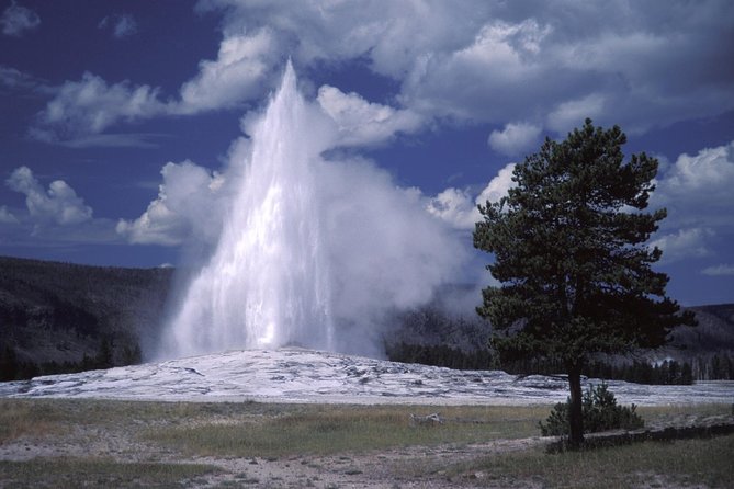Yellowstone Lower Loop Full-Day Tour - Yellowstone Lake and the broad views