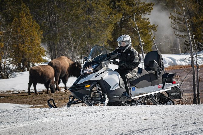 Yellowstone Old Faithful Full-Day Snowmobile Tour from Jackson Hole - Why winter Yellowstone works so well by snowmobile