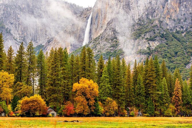 Yosemite Highlights & Giant Sequoias Day Tour from San Francisco - Five details that shape the day
