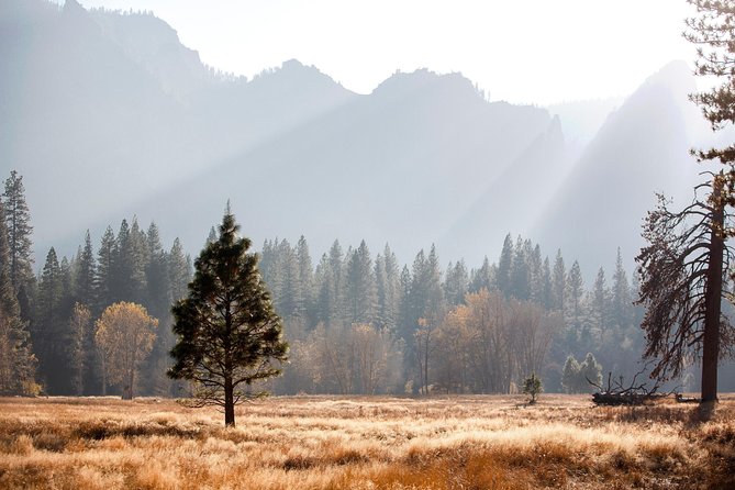 Yosemite Highlights & Giant Sequoias Day Tour from San Francisco - Why this Yosemite day trip can make sense