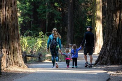 Yosemite Highlights & Giant Sequoias Day Tour from San Francisco