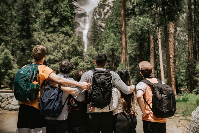 Yosemite Highlights & Giant Sequoias Day Tour from San Francisco - El Capitan and Valley View finish the valley circuit