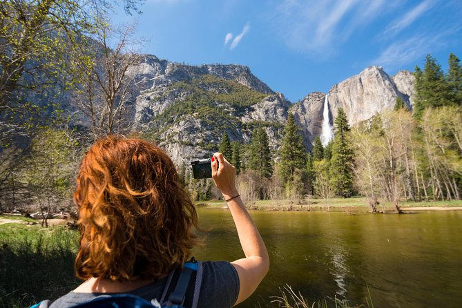 Yosemite Highlights & Giant Sequoias Day Tour from San Francisco - Tuolumne Grove is the tour’s special walk