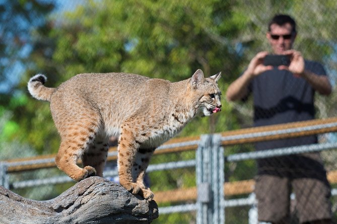 Zoo Miami Ticket with Optional Upgrade - Weather, renovations, and animal activity